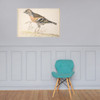 Bramling (Fringilla Montifringilla) - Gerardus van Veen - 1679 - Photo Paper Poster Museum quality 7742767