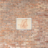Nude Study - Anonymous, Italian, 18th century - 1768 - Photo Paper Framed Poster Museum quality 7742180