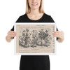False Alarm, Surely! (Harper's Weekly, Vol. XIII) - Winslow Homer - July 17, 1869 - Matte Paper Framed Poster Museum quality 7747340