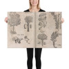 I) Herbarum, Arborum, Fructium, Frumentorum, c. 1540 ... II) De Speciali quarundam plantarum, Frankfurt: Egenolff 1552 - Christian Egenolff - 1552 - Canvas Museum quality 7743646