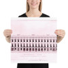 Syllabus Row, New York - Alexander Jackson Davis - 19th century - Photo Paper Poster Museum quality 7746486