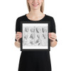 The Expressions - Henri Testelin - 1696 - Matte Paper Framed Poster Museum quality 7739476