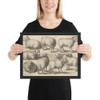 Nine sheep - Wenceslaus Hollar - 1646 - Photo Paper Framed Poster Museum quality 7741908