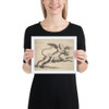 Cupid on a tiger - Wenceslaus Hollar - 1652 - Photo Paper Framed Poster Museum quality 7741203