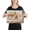 Dromedary, from Quadrupeds series (N41) for Allen & Ginter Cigarettes - Allen & Ginter - 1890 - Canvas Museum quality 7748565