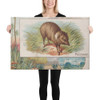 Peccary, from Quadrupeds series (N41) for Allen & Ginter Cigarettes - Allen & Ginter - 1890 - Canvas Museum quality 7719945