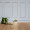 Study of a Piece of Turf - Anonymous, British, early 19th century - early 19th century - Canvas Museum quality 7744307
