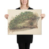 Study of a Piece of Turf - Anonymous, British, early 19th century - early 19th century - Canvas Museum quality 7744307