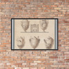Study of Five Vases or Urns - Felice Giani - ca. 1790-1800 - Photo Paper Framed Poster Museum quality 7739536