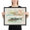 Spanish Mackerel, from Fish from American Waters series (N39) for Allen & Ginter Cigarettes - Allen & Ginter - 1889 - Photo Paper Framed Poster Museum quality 7742462
