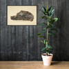 Study of a Rock - Anonymous, British, early 19th century - early 19th century - Photo Paper Framed Poster Museum quality 7744311
