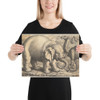 Elephant and Camel - Wenceslaus Hollar - 17th century (?) - Photo Paper Poster Museum quality 7744057