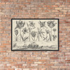 Horizontal Panel with a Row of Flowers Above a Frieze with a Battle Scene in a Landscape, from Livre Nouveau de Fleurs Tres-Util - Nicolas Cochin - 1645 - Matte Paper Framed Poster Museum quality 7794557