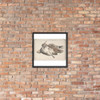 Dead Birds. - Count Giorgio Durante (Duranti) - 1685–1755 - Matte Paper Framed Poster Museum quality 7796367