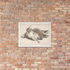 Dead Birds. - Count Giorgio Durante (Duranti) - 1685–1755 - Matte Paper Framed Poster Museum quality 7796367