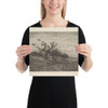 Tree Filled with Crows - Charles-François Daubigny - 1867 - Photo Paper Poster Museum quality 7799415