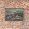 Royal Tiger - Eugène Delacroix - 1829 - Matte Paper Framed Poster Museum quality 7799218
