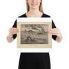 The Steam Boats - Charles-François Daubigny - 1861 - Paper Poster Museum quality 7799429