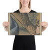 Fragment of a Tapestry Cartoon: Foot in a Buskin, Drapery, and a Plant - Raphael (Raffaello Sanzio or Santi) - 1500–1550 - Paper Poster Museum quality 7796678