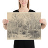 Trees in a Thicket - Théodore Rousseau - 1845 - Paper Poster Museum quality 7798548
