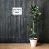 Don't look for excuses look for results. - Photo Paper Poster Motivational quotes 7810868
