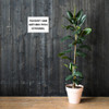 You don't gain anything from stressing. - Photo Paper Poster Motivational quotes 7810858