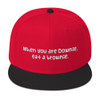 When you are Downie, eat a brownie. - Wool Blend Snapback Funny quotes 7820156