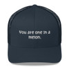 You are one in a melon. - Retro Trucker Cap Funny quotes 7820265