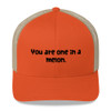 You are one in a melon. - Retro Trucker Cap Funny quotes 7820265