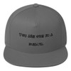 You are one in a melon. - Flat Bill Cap Funny quotes 7819848