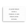 A clever person solves a problem. A wise person avoids mistakes. - Canvas Funny quotes 7817432