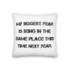 My biggest fear is being in the same place this time next year. - Premium Pillow Motivational quotes 7829478