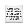 Some days I amaze myself. Other days I put my keys in the fridge. - Premium Pillow Funny quotes 7827942