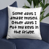 Some days I amaze myself. Other days I put my keys in the fridge. - Pillow Funny quotes 7821231
