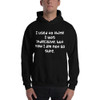 I used to think I was indecisive, but now I am not so sure. - Unisex Hooded Sweatshirt Funny quotes 7823875