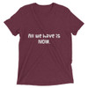 All we have is NOW. - Unisex Triblend Short Sleeve T-Shirt Funny quotes 7825426