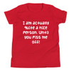I am actually quite a nice person. Until you piss me off! - Youth Short Sleeve Tee Funny quotes 7834468