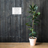 There should be sympathy cards for having to go back to work after vacation. - Photo Paper Poster Funny quotes 7834017