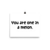 You are one in a melon. - Photo Paper Poster Funny quotes 7833662