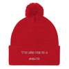 You are one in a melon. - Pom Pom Knit Cap Funny quotes 7820142