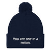 You are one in a melon. - Pom Pom Knit Cap Funny quotes 7820432