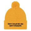 Don't study me, you won't graduate. - Pom Pom Knit Cap Funny quotes 7835165