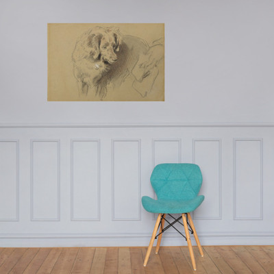 Study of a Dog - Sir Edwin Henry Landseer - 1820–73 - Paper Poster Museum quality 7742881