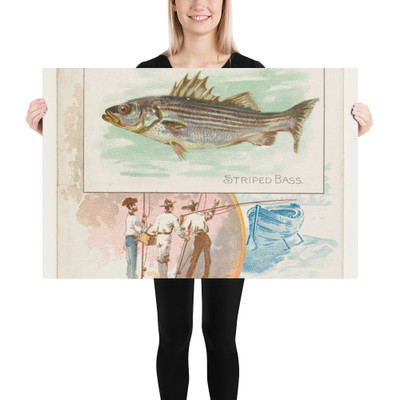 Striped Bass, from Fish from American Waters series (N39) for Allen & Ginter Cigarettes - Allen & Ginter - 1889 - Paper Poster Museum quality 7742429
