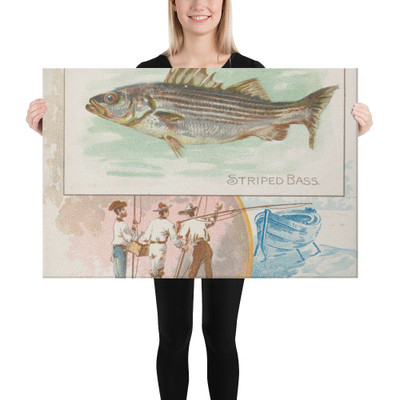 Striped Bass, from Fish from American Waters series (N39) for Allen & Ginter Cigarettes - Allen & Ginter - 1889 - Canvas Museum quality 7742444