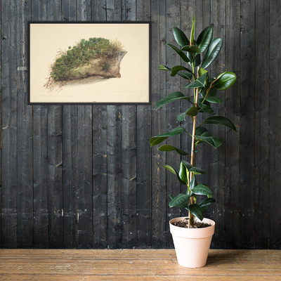 Study of a Piece of Turf - Anonymous, British, early 19th century - early 19th century - Photo Paper Framed Poster Museum quality 7744327