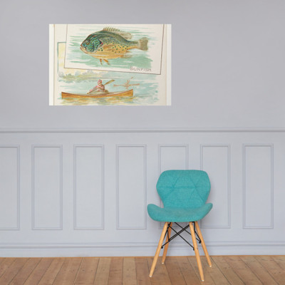 Sunfish, from Fish from American Waters series (N39) for Allen & Ginter Cigarettes - Allen & Ginter - 1889 - Photo Paper Poster Museum quality 7742476