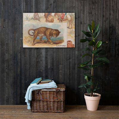 Leopard, from Quadrupeds series (N41) for Allen & Ginter Cigarettes - Allen & Ginter - 1890 - Canvas Museum quality 7748303