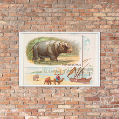 Hippopotamus, from Quadrupeds series (N41) for Allen & Ginter Cigarettes - Allen & Ginter - 1890 - Photo Paper Framed Poster Museum quality 7748237