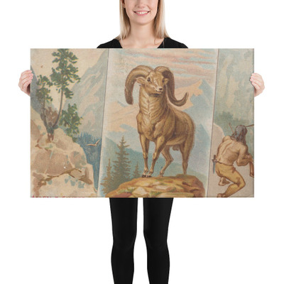 Bighorn, from Quadrupeds series (N41) for Allen & Ginter Cigarettes - Allen & Ginter - 1890 - Canvas Museum quality 7748444